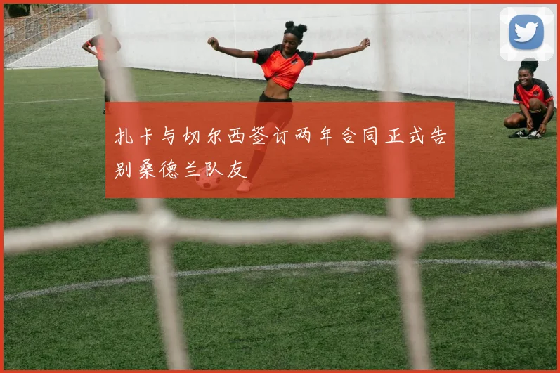 扎卡与切尔西签订两年合同正式告别桑德兰队友