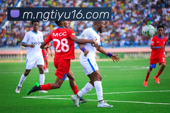 App Interface Preview