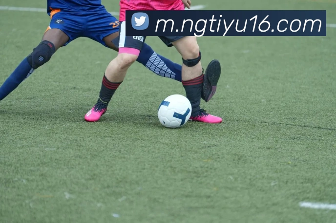 ng体育APP 封面图